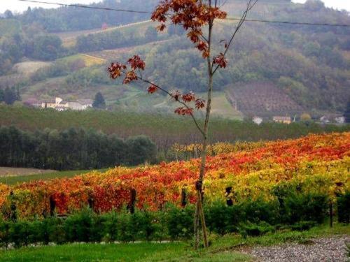 Agriturismo Le Due Cascine